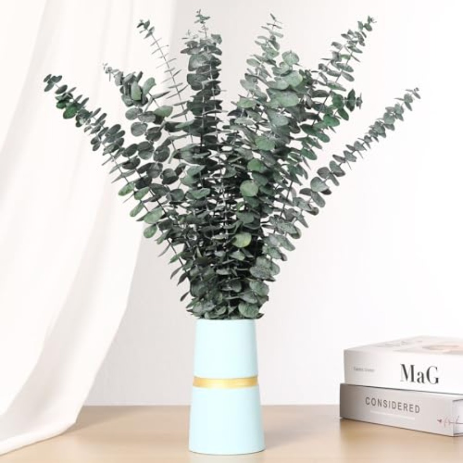 Сушеные стебли эвкалипта для д – обзор и цена Home Fragrance Eucalyptus